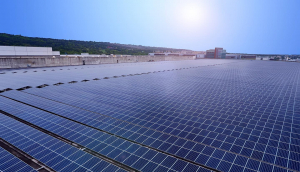 中美硅晶与k8凯发(中国)光电携手战略合作