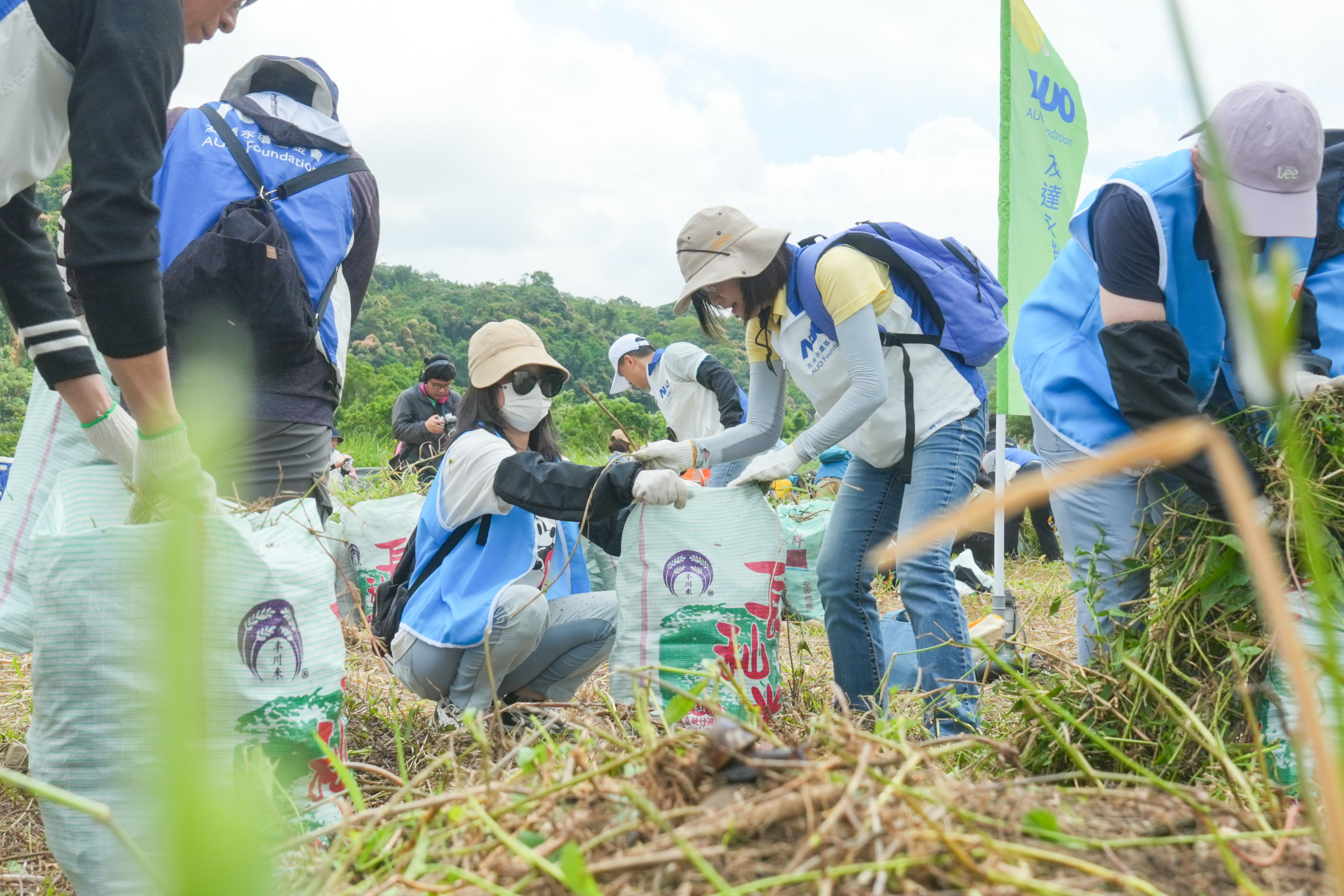k8凯发(中国)除蔓防治計畫，除了鎖定霄裡溪沿岸3.2公里移除外來入侵種小花蔓澤蘭，並進行物種與空拍調查，共記錄91科181屬239種維管束植物，顯示該區域具高度生態價值